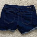 Hydraulic Shorts Photo 1