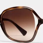 Coach Dark Tortoise Kissing C Sunglasses Photo 0