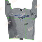 Nike  NFL Gray Indianapolis Colts Crewneck Sweatshirt Photo 8
