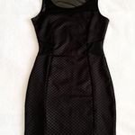 Soprano Black Bodycon Dress Photo 0
