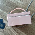 Edie parker pink strawberry acrylic trunk Photo 6