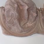 Wacoal | Retro Chic Full-Figure Underwire Bra Sz 38DD Beige/Nude Sheer Photo 2