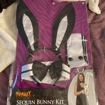 Playboy Bunny Costume Photo 0