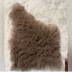 ZARA dusty pink ruffle mesh organza one shoulder top Photo 2