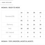 Sandro Celestine embroidered denim button down shirt sz small (1) Photo 10