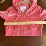 Voight by Valentina Voight by‎ Valentina Cherry On Top Crop velour Hoodie pink embroidered sz medium Photo 4