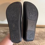 Alegria Allegria No Insoles Paloma Mary Jane Shoes Gothic Steel Wmns Sz 41 Black Silver Photo 9