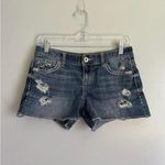 Maurice's  Blue Distressed Jean Shorts‎ Photo 4