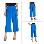 Ted Baker Zettah Pleated Culotte Size 4 US Size Large Blue Cropped Wide Leg Photo 1