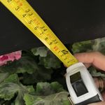 Ecru Gorgeous  dress with beautiful detail Photo 5