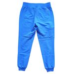 FIGS Women’s Zamora Jogger Scrub Pants Small Blue Medical Nursing Stretch Photo 1