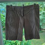 The Limited Shorts Photo 0