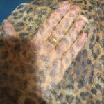 Y2K Sheer Leopard Print Mesh Tiered MIDI Skirt Sz S Animal Full Ballet Lined Brown Photo 7