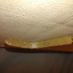 Brown Leather Belt Handcrafted Italian Roco Ornate Brass Buckle Detailing Size 34 Photo 6