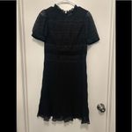 Velvet By Graham And Spencer  Black Dress Photo 2