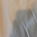 ZARA basic pants Photo 3