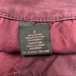 Tinseltown  Burgundy Shorts. Size 5. EUC Photo 6