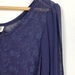 Vintage Odessa Sheer Dark Plum Embroidered Dress Photo 3