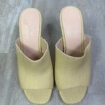 J.Crew  Bianca woven wedge sandals Size 8 BR615 Photo 1