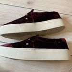 Rebecca Minkoff  velvet slip on shoes. Photo 2