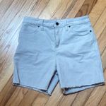Carve Designs  Oahu Shorts 6 inch size 4 Photo 1