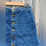 American Apparel American Appeal Button Down Denim Skirt Photo 2