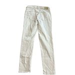 Calvin Klein Jeans  Womens 28 Khaki Ankle Skinny  Pants Stretch Photo 1