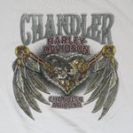 Harley Davidson Y2K 2016  Gold Stud Logo Shirt Photo 6