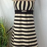 Becca  Brown & Tan Striped Bikini & Dress Swim Bathing Suit 3 Piece SET M Photo 0