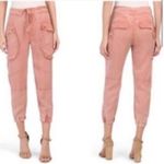 Young Fabulous and Broke Clyde Cargo Pants Blue-Grey Tencel Size Small Photo 1