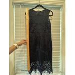 Bardot  Lace Pencil Navy Blue Sexy Sheer Top Midi Dress Date Formal Sz 6 Small‎ Photo 3