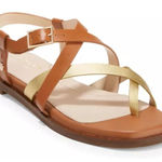 Cole Haan Sandals Size 5.5B Strappy Crisscross Leather Cushioned Photo 0