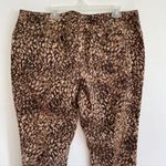 Coldwater Creek Plus Size ? Wild Side Slim Leg Jean Brown Tan Animal Print Jeans Photo 9