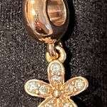 Pandora  Charm Photo 0