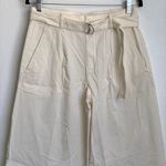 Everlane NEW  The Pleated Wide-Leg Chino in Bone White Belted Photo 3