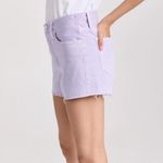 Anthropologie NWT FRAME Le Brigette Raw Hem Denim Cutoff Shorts M/L ($198) Photo 1