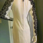 Phoebe Couture  Sz 4Long Sleeve Round Neck Knee Length Dress. #167 Photo 5