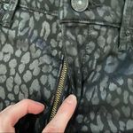 Black Orchid  - Gisele leopard Print High Rise Super Skinny Jeans in Black Photo 5