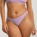 Everlane  Womens The Thigh-High Bikini Bottom Lilac Purple L Photo 0