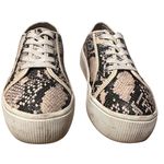 Torrid Snakeskin Print Lace Up Platform Sneaker Sz 7.5 Urban Streetwear Style Photo 12