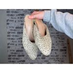 Caslon  | women fur printed calf hair mules Photo 6