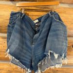 Abercrombie & Fitch NWT  Curve Love The Mom Short Mid Rise Photo 2