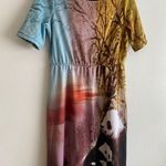 TREU Pandas Scenery Elastic Waist Women’s Dress
Size XL
95% Polyester 5% Spandex Photo 4