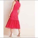Monique Lhuillier Lace Fit & Flare Midi Dress Raspberry Red Size 2 Photo 4