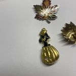 Lot Of 3 Brooch Pins Autumn Fall Thanksgiving season Photo 6