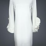 Katherine Barclay NWT Hilary Radley for Woven Ruffle Sleeve Lined Dress $168 Photo 0