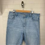 American Eagle  Strigid Mom Jean Size 18 Regular Photo 4