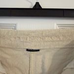 American Eagle  Cream Corduroy Skirt Photo 2