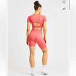 AYBL  Velocity Seamless Shorts Photo 1