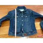 Pilcro and the Letterpress  Indigo Denim Jacket size M Photo 5